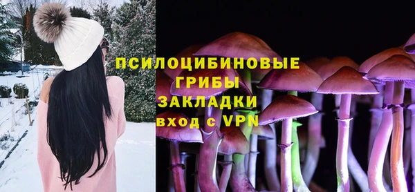 apvp Вязники